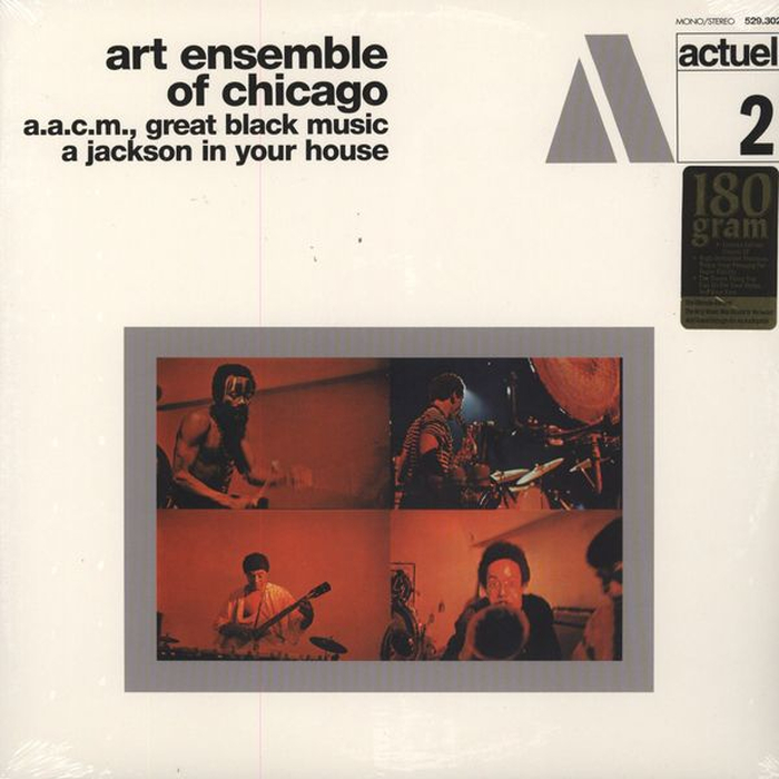 ART ENSEMBLE OF CHICAGO - A Jackson In Your House