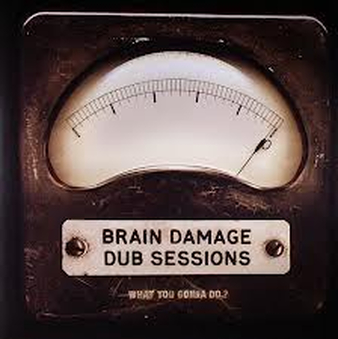 BRAIN DAMAGE DUB SESSIONS - What You Gonne Do?