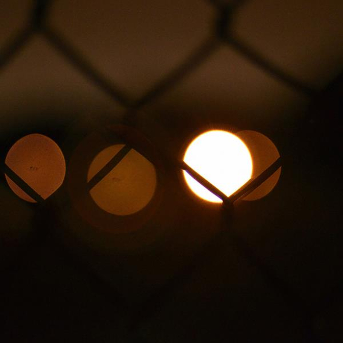 FLUXION - Vibrant Forms