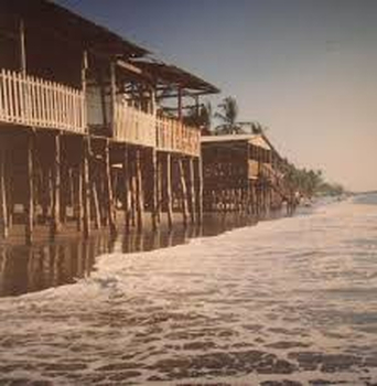 LOW JACK - Garifuna Variations