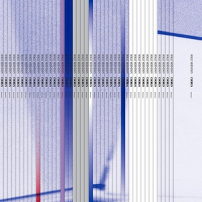 HOLLY HERNDON - Chorus