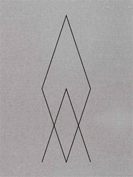 JULIEN LANGENDORF - Black Mirrors