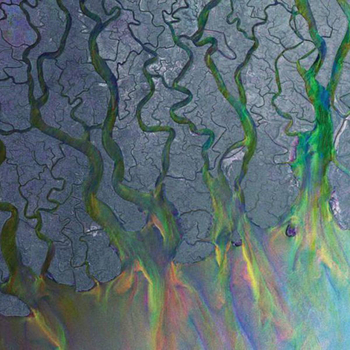 ALT J - An Awesome Wave