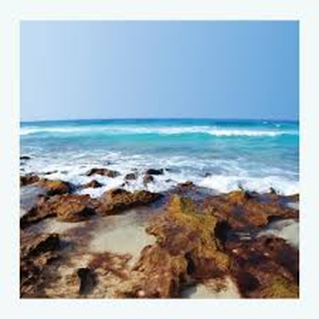 MARQUIS HAWKES - Fifty Fathoms Deep