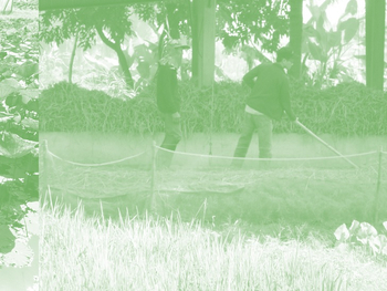 NIKOLAUS HIRSCH, ANTTO MELASNIEMI, MICHEL MLLER, RIRKRIT TIRAVANJIA - Do We Dream Under The Same Sky