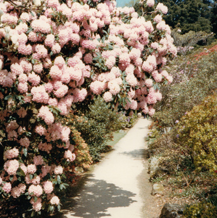 PATRICIA - Bem Inventory