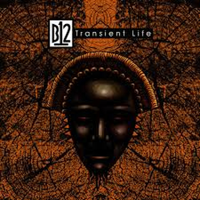 B12 - Transient Life