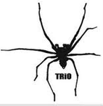 SPIDER TRIO - Rendezvous