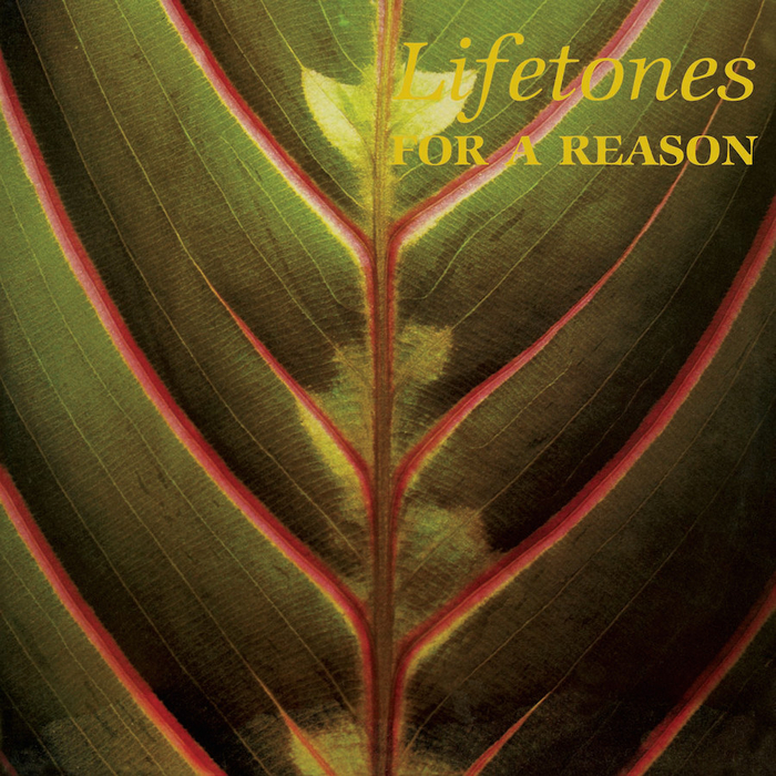 LIFETONES - For A Reason