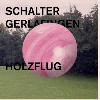 SCHALTER GERLAFINGEN - Holzflug