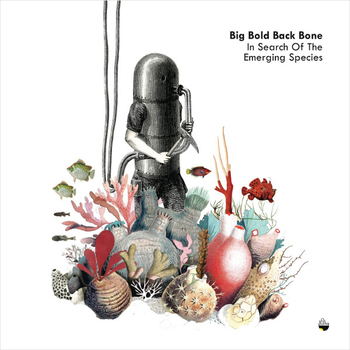 BIG BOLD BACK BONE - In Search Of The Emerging Species
