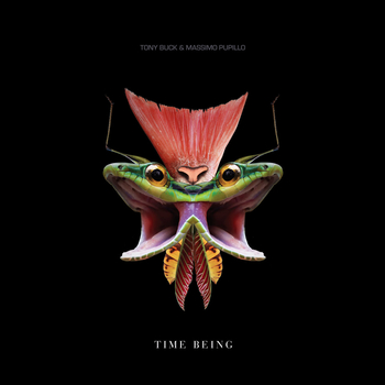 MASSIMO PUPILLO & TONY  BUCK - Time Being