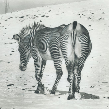 ANDY STOTT - It Should Be Us