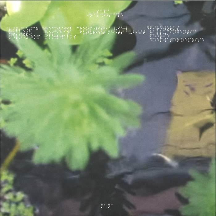 SA PA - In A Landscape