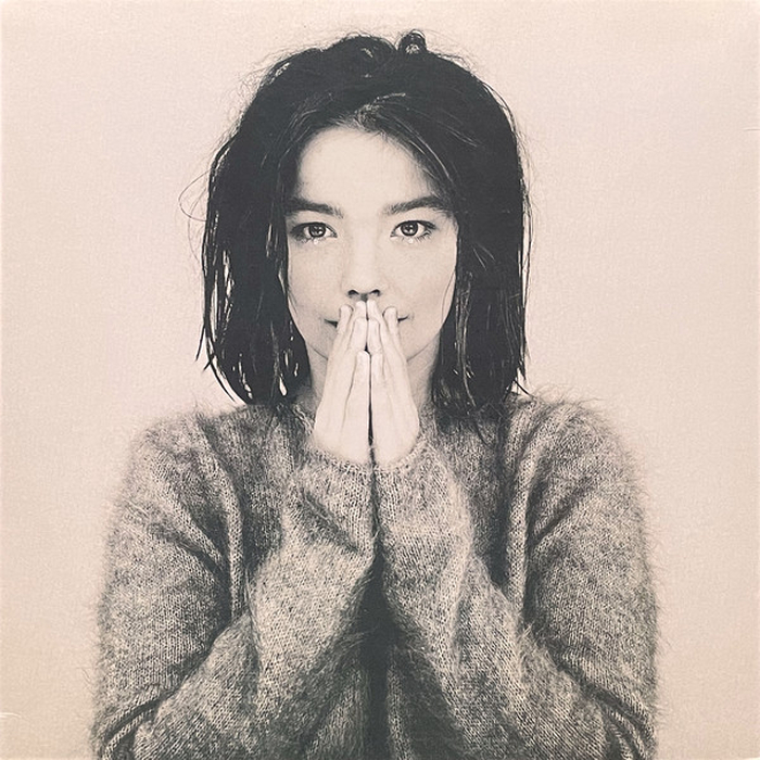 BJRK - Debut