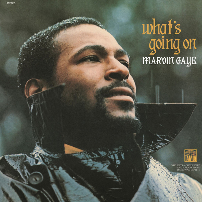 MARVIN GAYE - Whats Going On