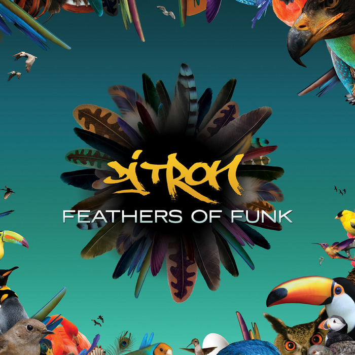 DJ TRON - Feathers Of Funk