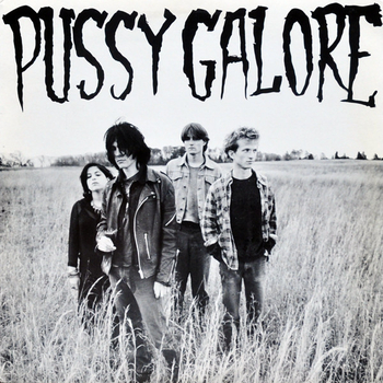 PUSSY GALORE - Groovy Hate Fuck
