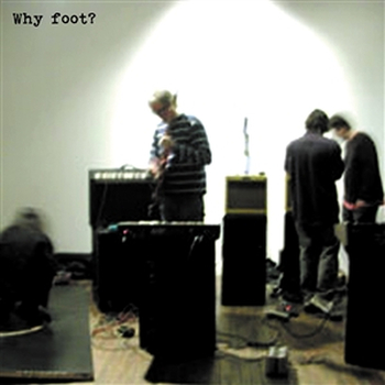 FOOT (THURSTON MOORE/JIM DUNBAR/DON FLEMMING) - Why Foot?...