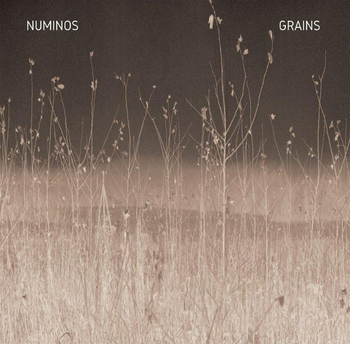 NUMINOS - Grains