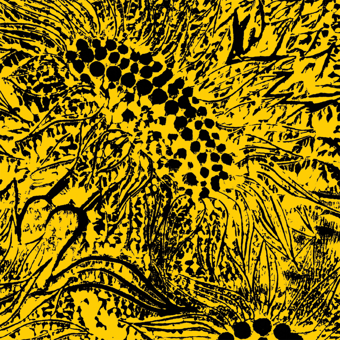AMANDA WHITING - Little Sunflower