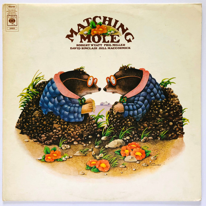 MATCHING MOLE - Matching Mole