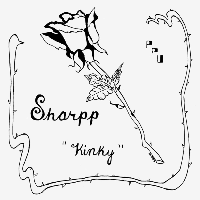 SHARPP - Kinky