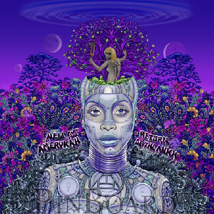 ERYKAH BADU - New Amerykah Part 2: Return Of The Ankh