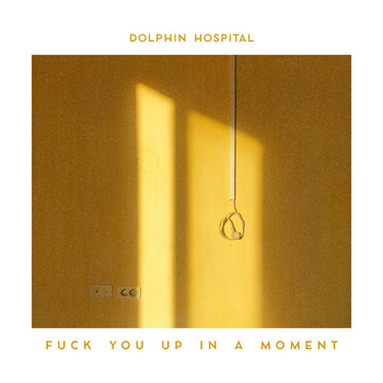 DOLPHIN HOSPITAL - fuck you up in a moment