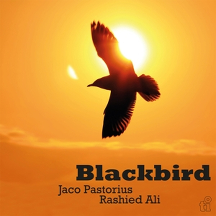 JACO PASTORIUS & RASHIED - Blackbird