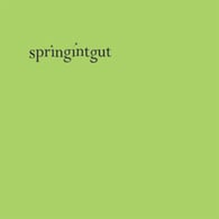 SPRINGINTGUT - Springintgut