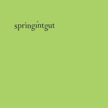 SPRINGINTGUT - Springintgut