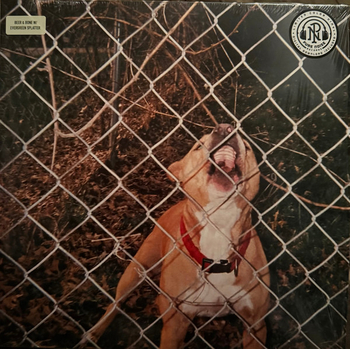 KNOCKED LOOSE - Pop Culture (beer&bone splatter)