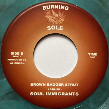 SOUL IMMIGRANTS - Blame It On The Endgame