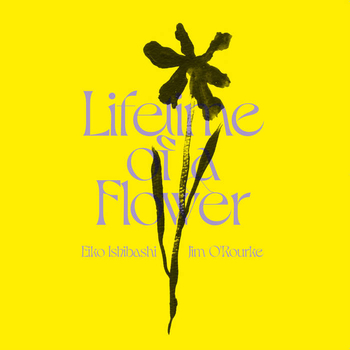 EIKO ISHIBASHI & JIM OROURKE - Lifetime Of A Flower