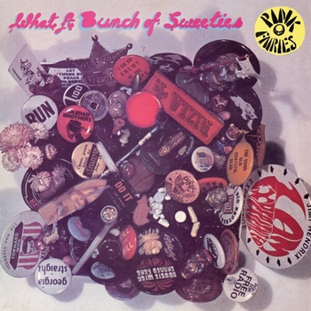 THE PINK FAIRIES - What A Bunch Of Sweeties