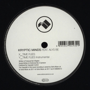 KRYPTIC MINDS - Time Flies
