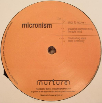 MICRONISM - Steps To Recovery