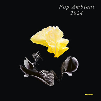 VARIOUS - Pop Ambient 2024