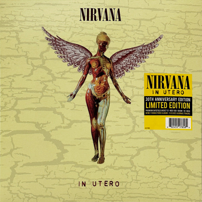 NIRVANA - In Utero(30th Anniversary)