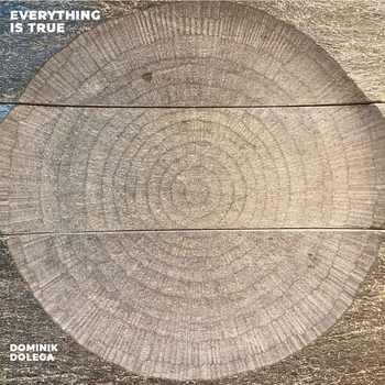 DOMINIK DOLEGA - Everything Is True