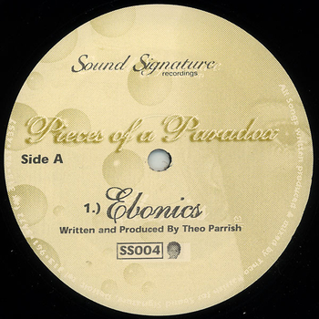 THEO PARRISH - Pieces Of A Paradox