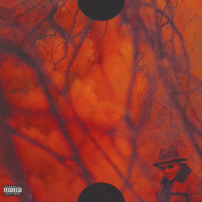 SCHOOLBOY Q - Blank Face LP