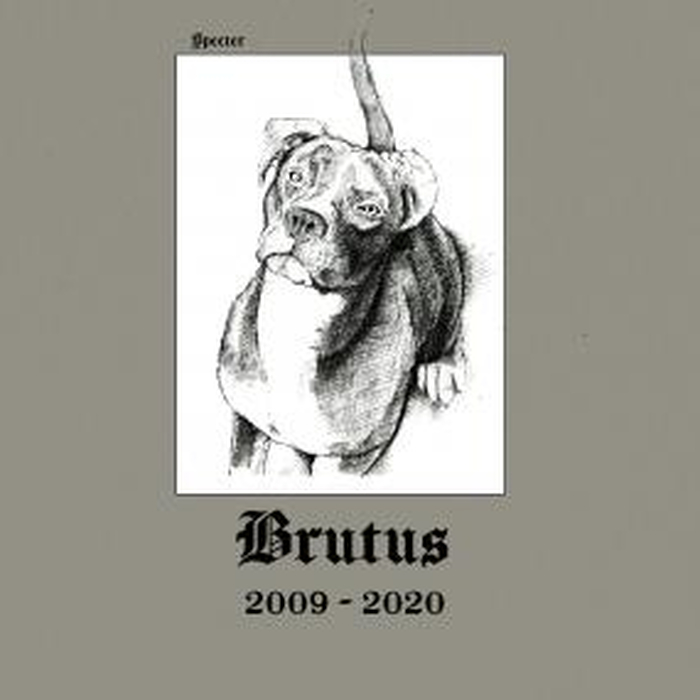 BRUTUS - 2009-2020