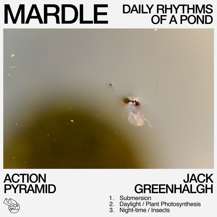 ACTION PYRAMID & JACK GREENHALGH - Mardle: Daily Rhythms of a Pond