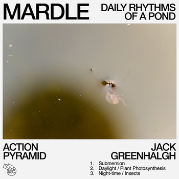 ACTION PYRAMID & JACK GREENHALGH - Mardle: Daily Rhythms...