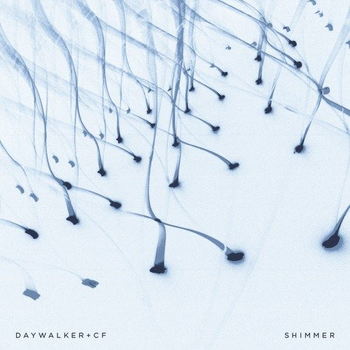 DAYWALKER + CF - Shimmer