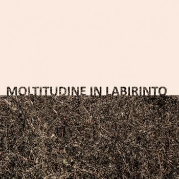 GIGI MASIN & GIUSEPPE CAPRIOLI - Moltitudine In Labirinto