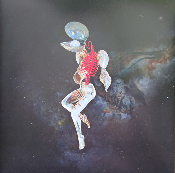 HAIL SPIRIT NOIR - Fossil Gardens (red/blue)