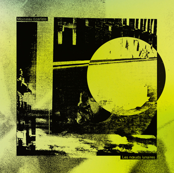 MOINEAU ECARLATE - Les Noeuds Lunaires